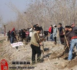 唐海信息网志愿者4月3日植树活动